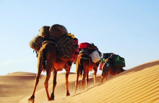 Camp Sahara Holidays 姆哈米德 外观 照片