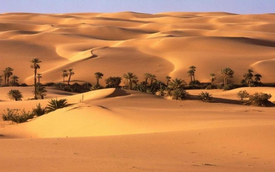 Camp Sahara Holidays 姆哈米德 外观 照片