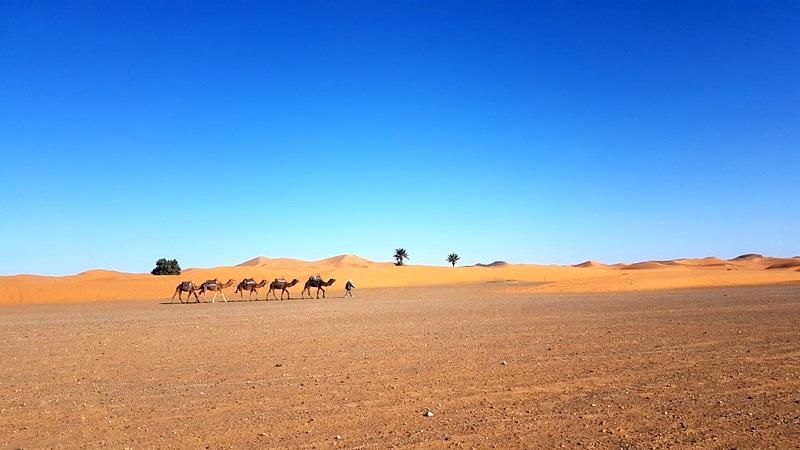 Camp Sahara Holidays 姆哈米德 外观 照片