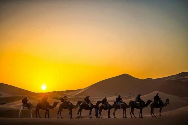 Camp Sahara Holidays 姆哈米德 外观 照片