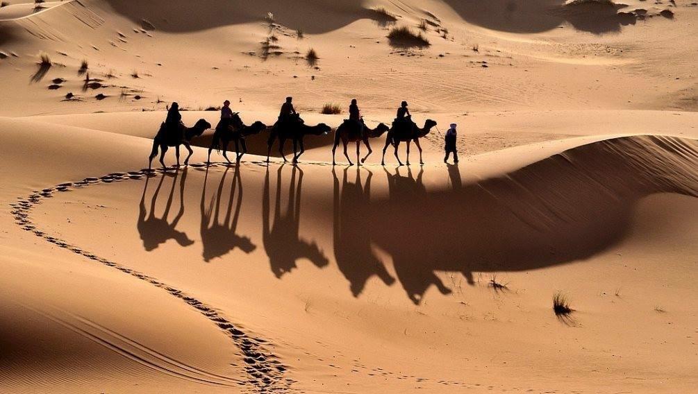 Camp Sahara Holidays 姆哈米德 外观 照片