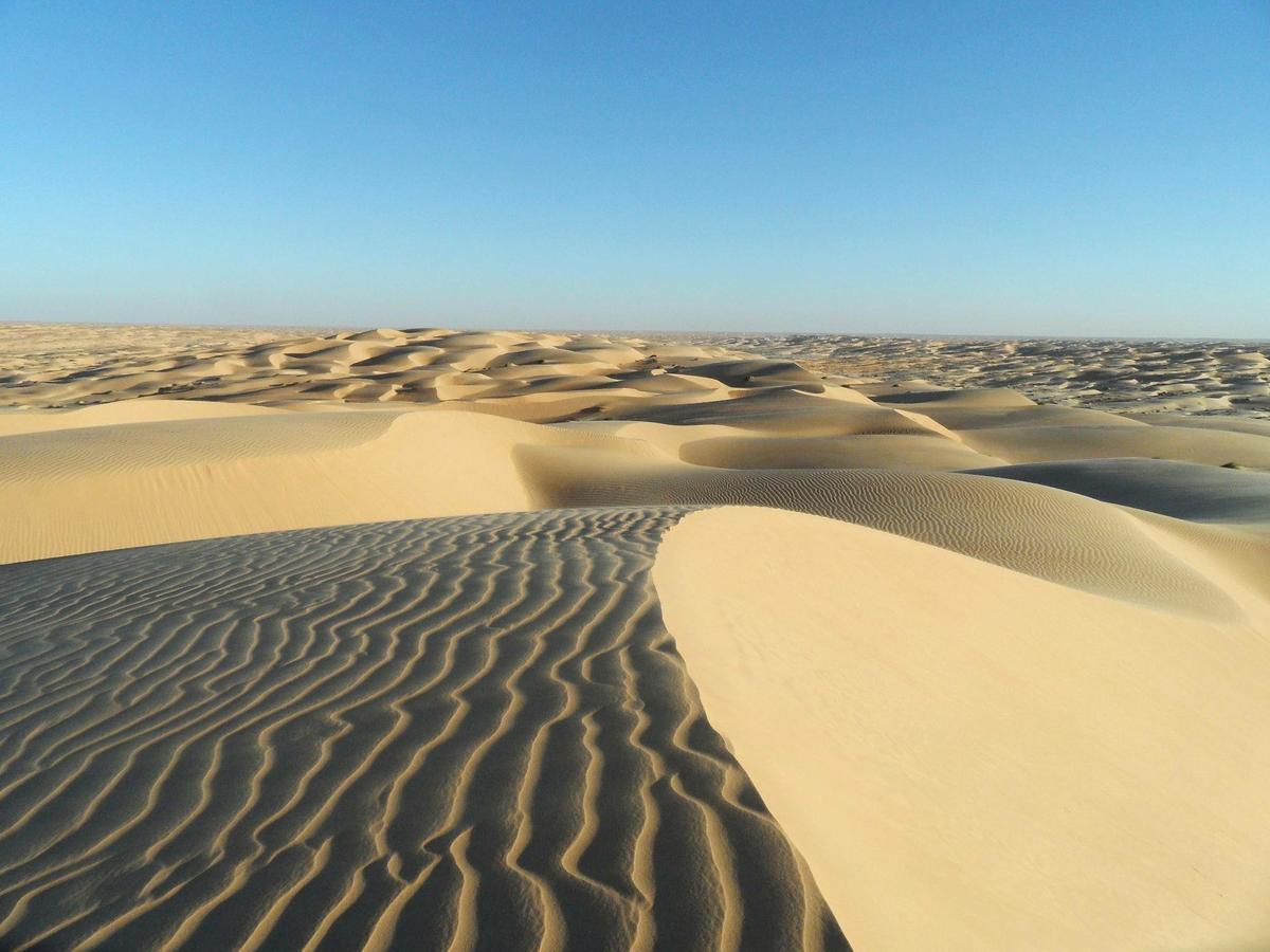 Camp Sahara Holidays 姆哈米德 外观 照片