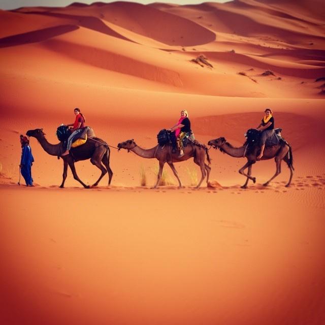 Camp Sahara Holidays 姆哈米德 外观 照片