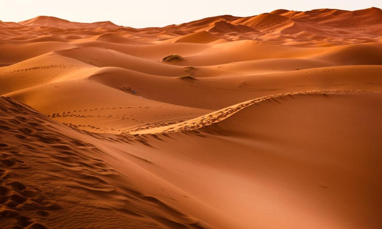 Camp Sahara Holidays 姆哈米德 外观 照片