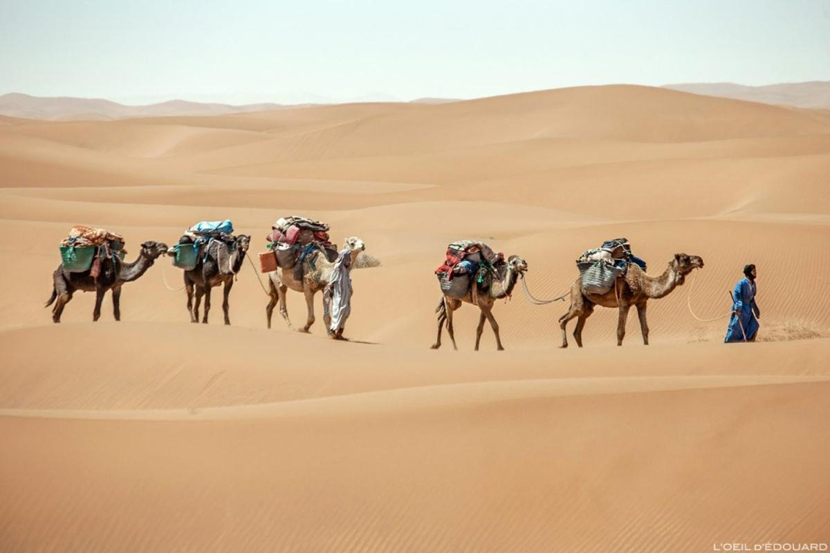 Camp Sahara Holidays 姆哈米德 外观 照片